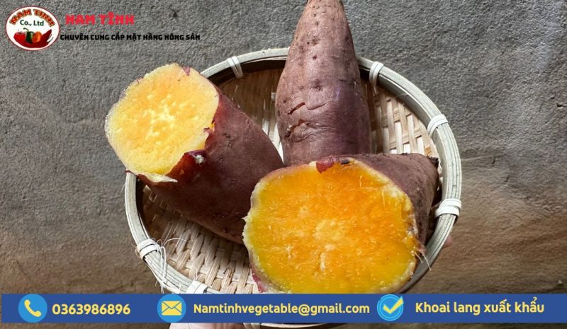 KHoai Mật SIZe S