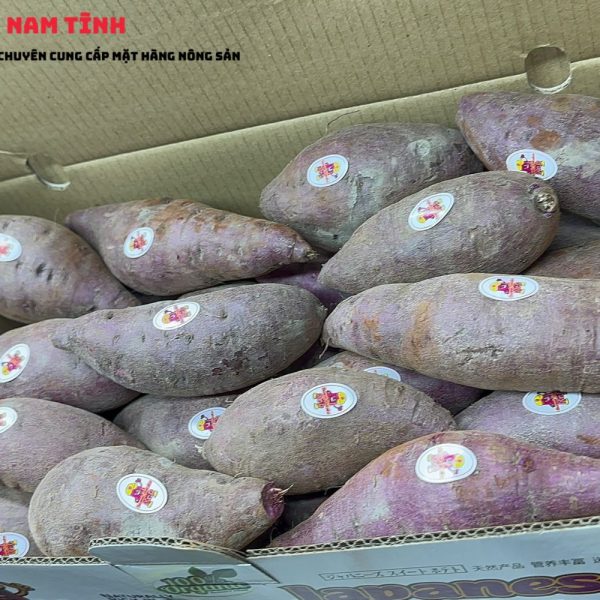 Khoai Tím xuất khẩu