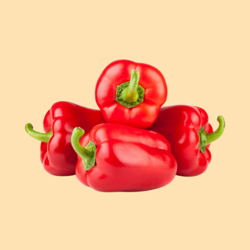 ớt chuông lâm đồng