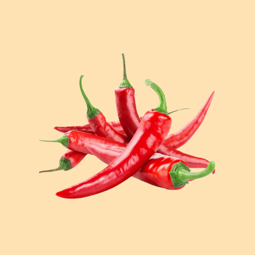 ớt sừng lâm đồng