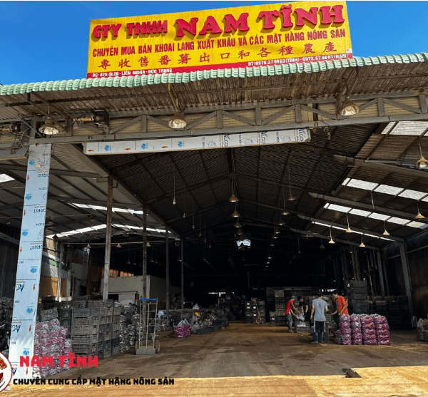 Liên hệ Nam Tĩnh Vegetable