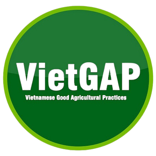 logo chứng nhận VietGAP