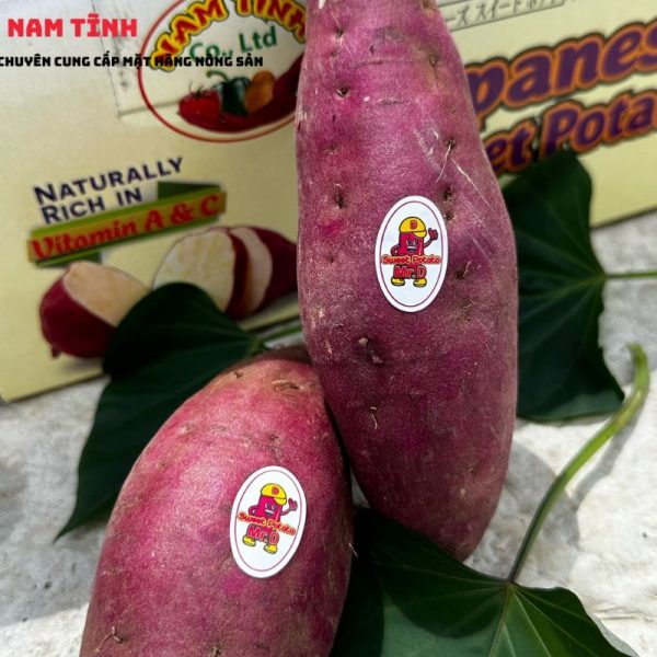 Khoai lang Mật xuất khẩu là gì