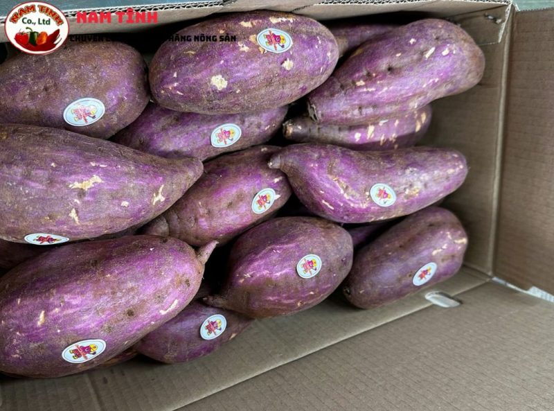 Kinh Nghiệm mua khoai lang xuất khẩu