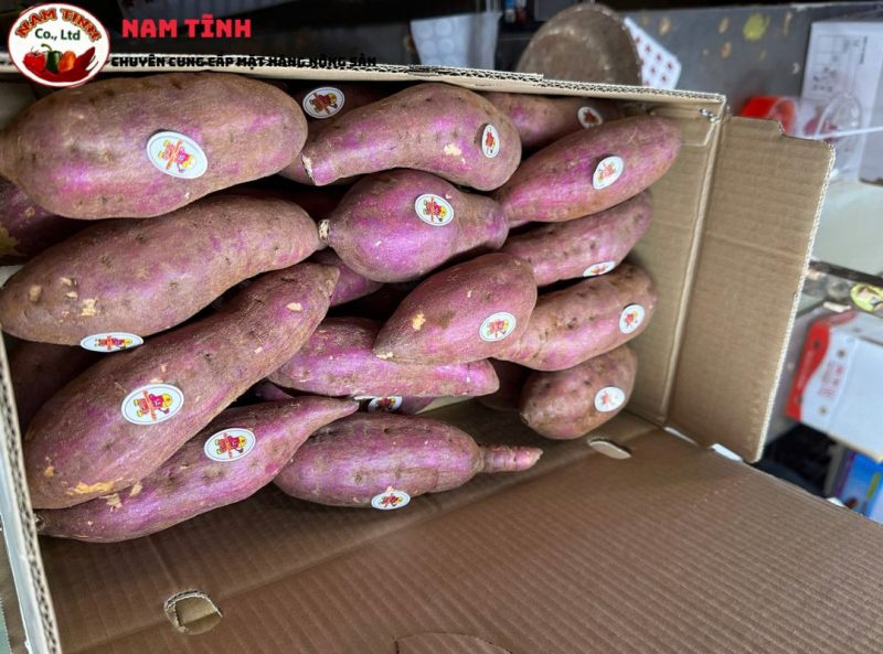 Kinh Nghiệm mua khoai lang xuất khẩu