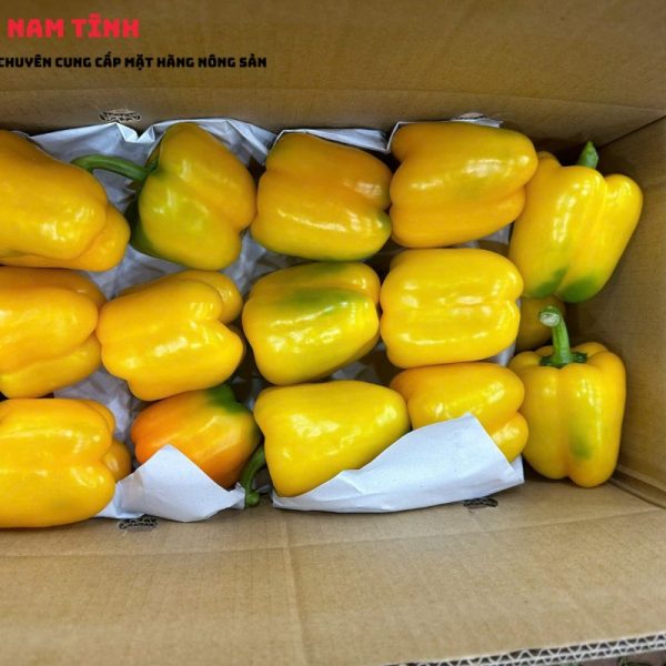 Ớt chuông vàng xuất khẩu