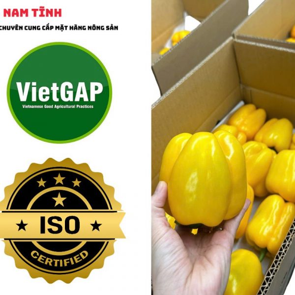 Tiêu chuẩn Ớt chuông xuất khẩu