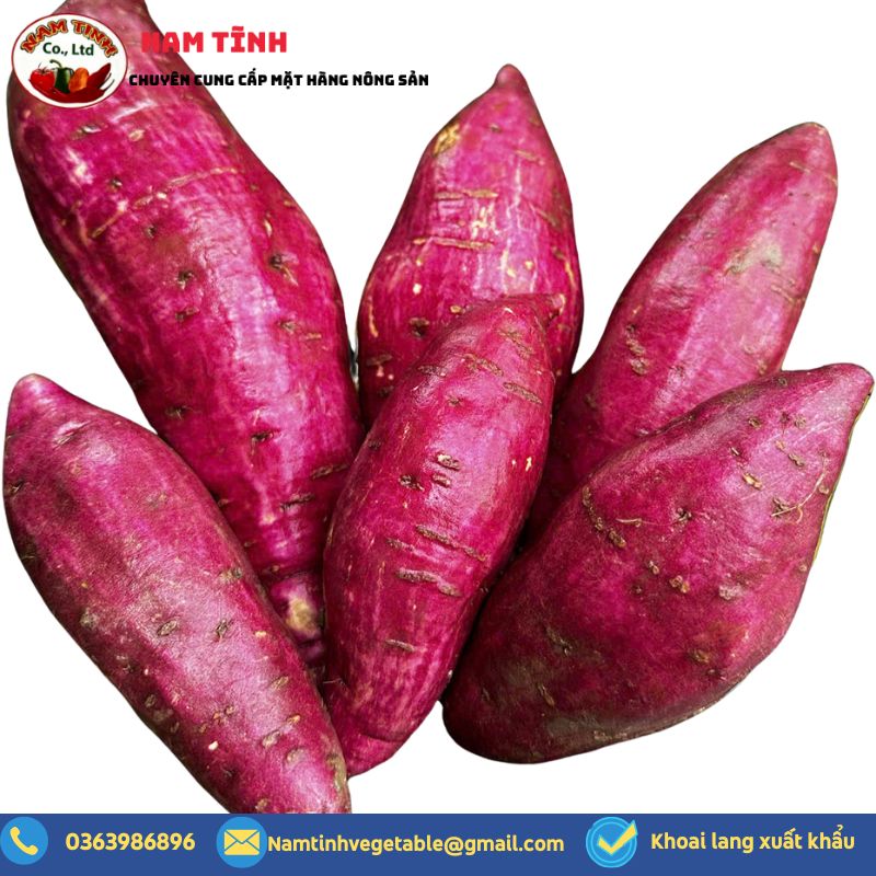 Kinh nghiệm mua khoai lang xuất khẩu