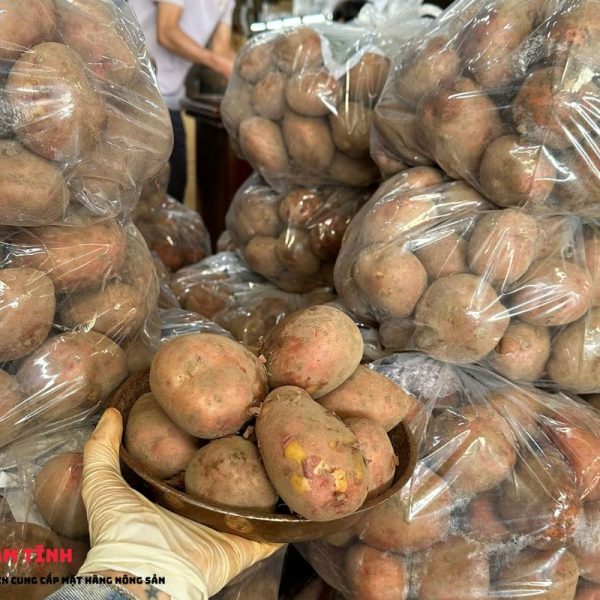 màu sắc khoai tây Hồng Đà Lạt