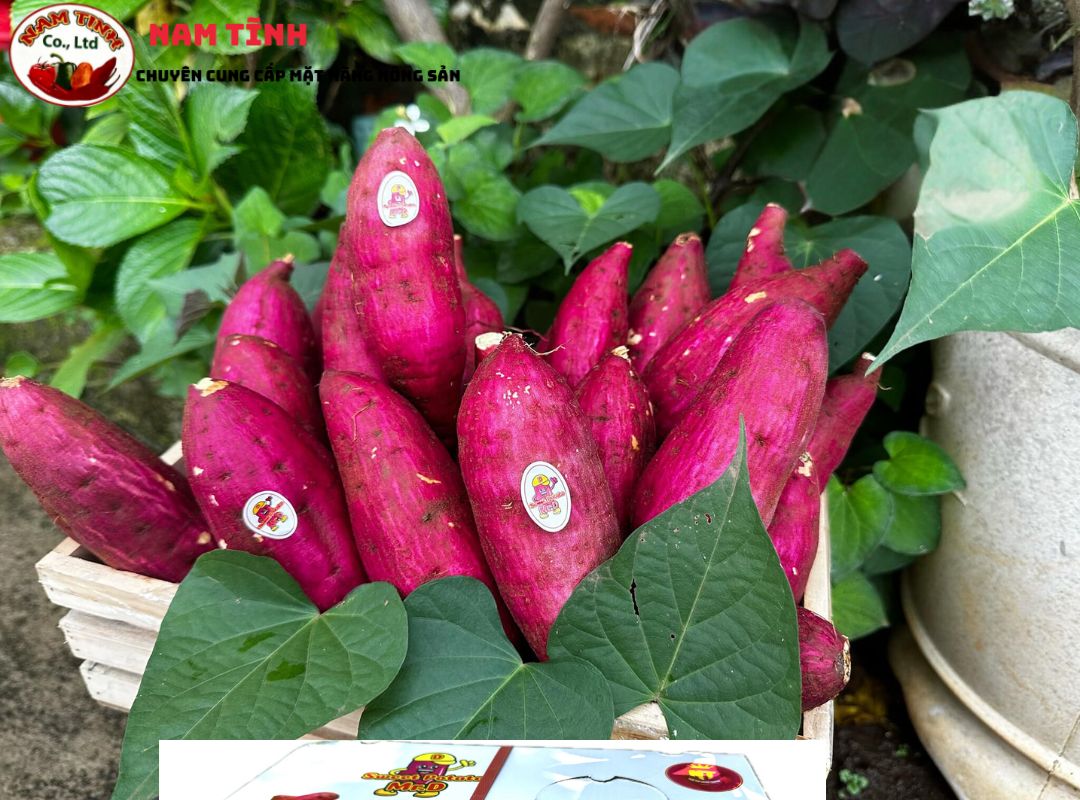 Mã vùng sản phẩm