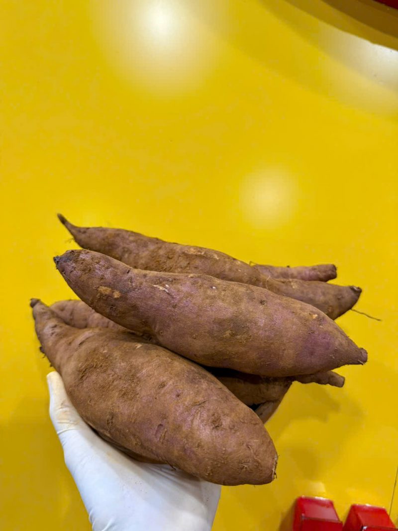 Khoai Lang Mật Tà Nung là khoai gì