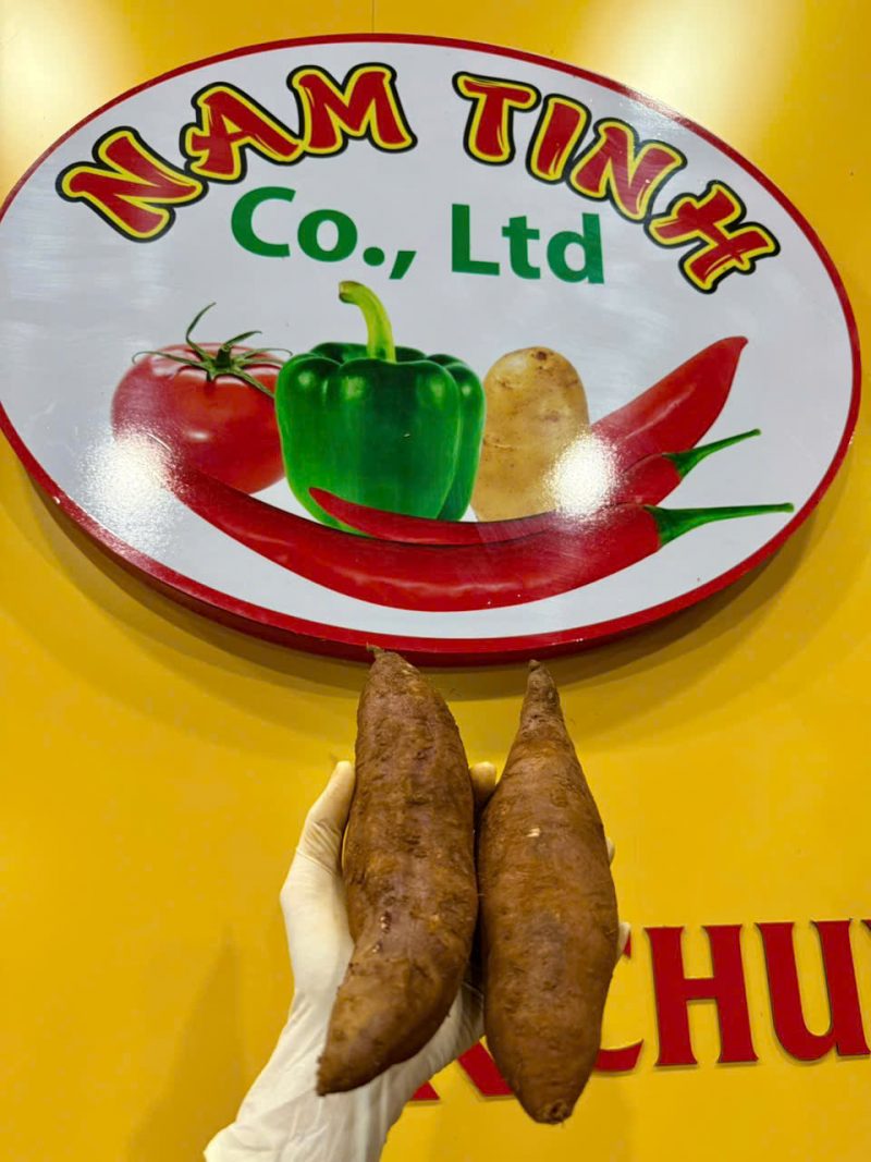 Khoai Lang Mật Tà Nung
