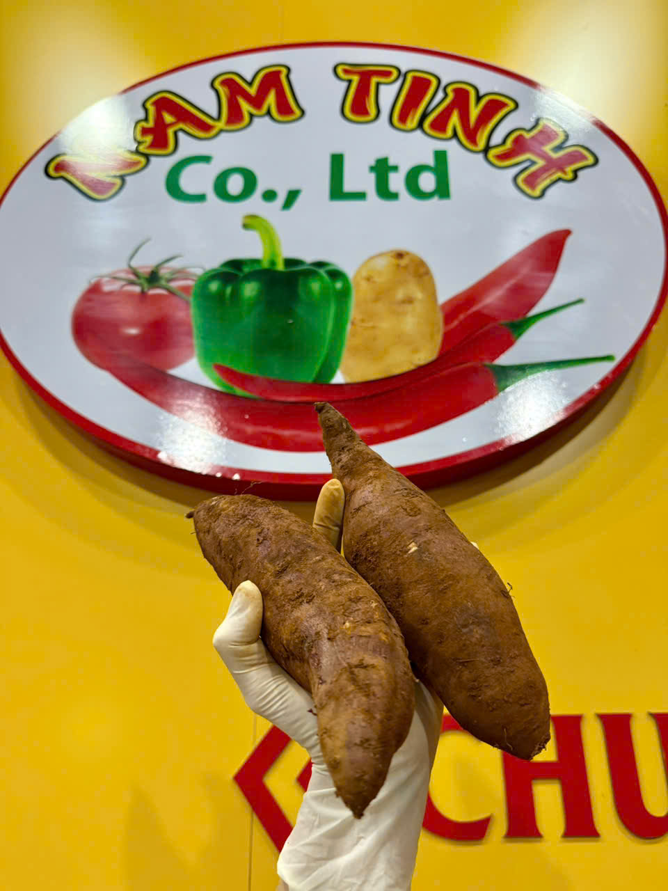 Công ty khoai lang Nam Tĩnh