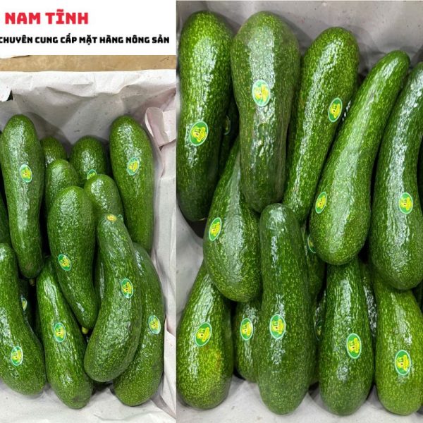 Chính sách và giá mua bán bơ 034 Lâm Đồng