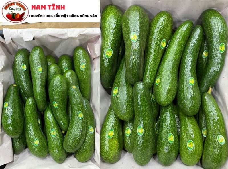 Chính sách và giá mua bán bơ 034 Lâm Đồng