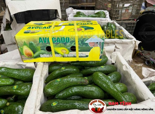 Địa Điểm mua Bơ 034