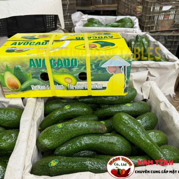 Địa Điểm mua Bơ 034