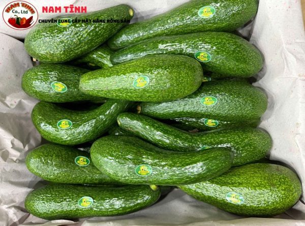 Giới thiệu Bơ 034 Lâm Đồng