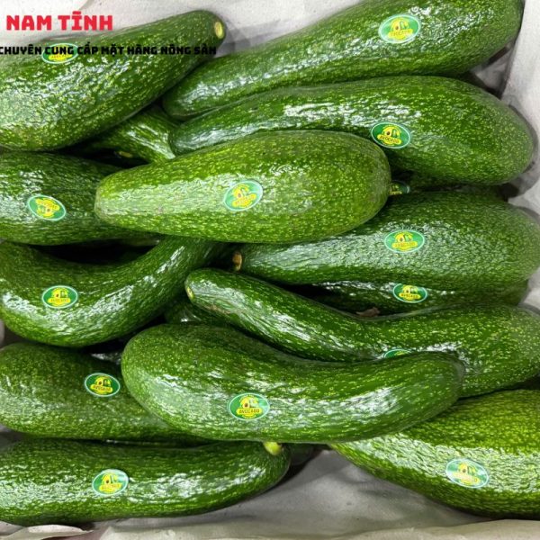 Giới thiệu Bơ 034 Lâm Đồng