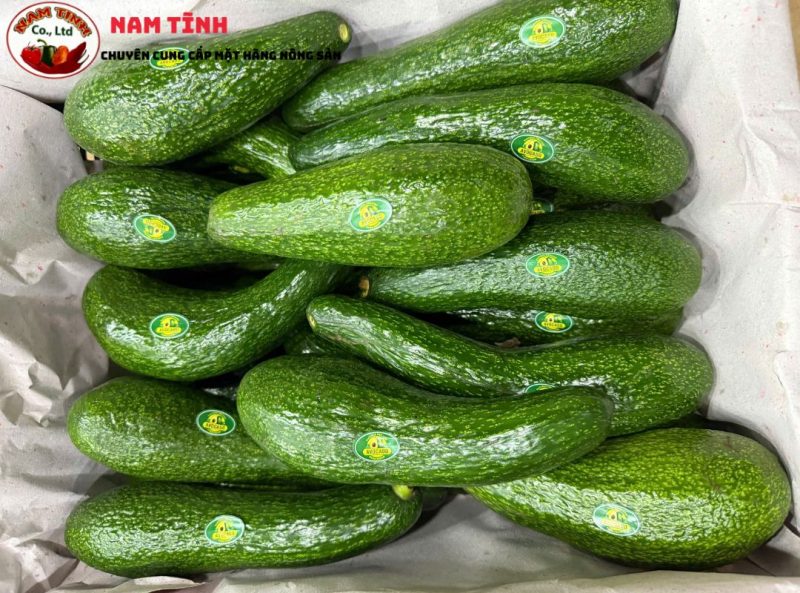 Giới thiệu Bơ 034 Lâm Đồng