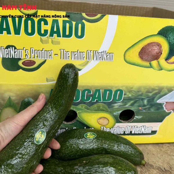 Quy cách Bơ 034 vip Lâm Đồng xuất khẩu