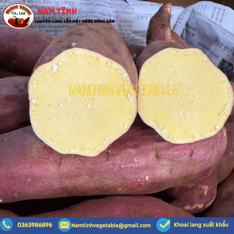 Vietnamese yellow-fleshed sweet potatoes