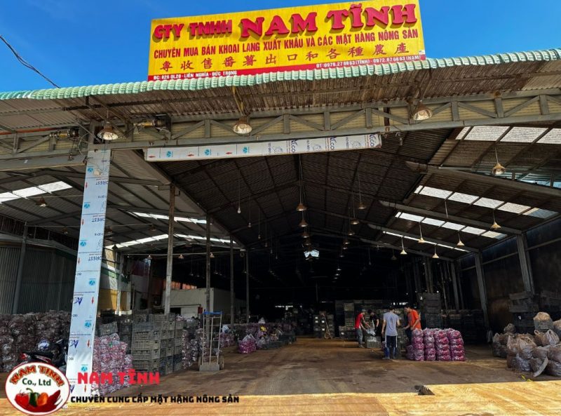 Nam Tĩnh vegetbale Việt Nam