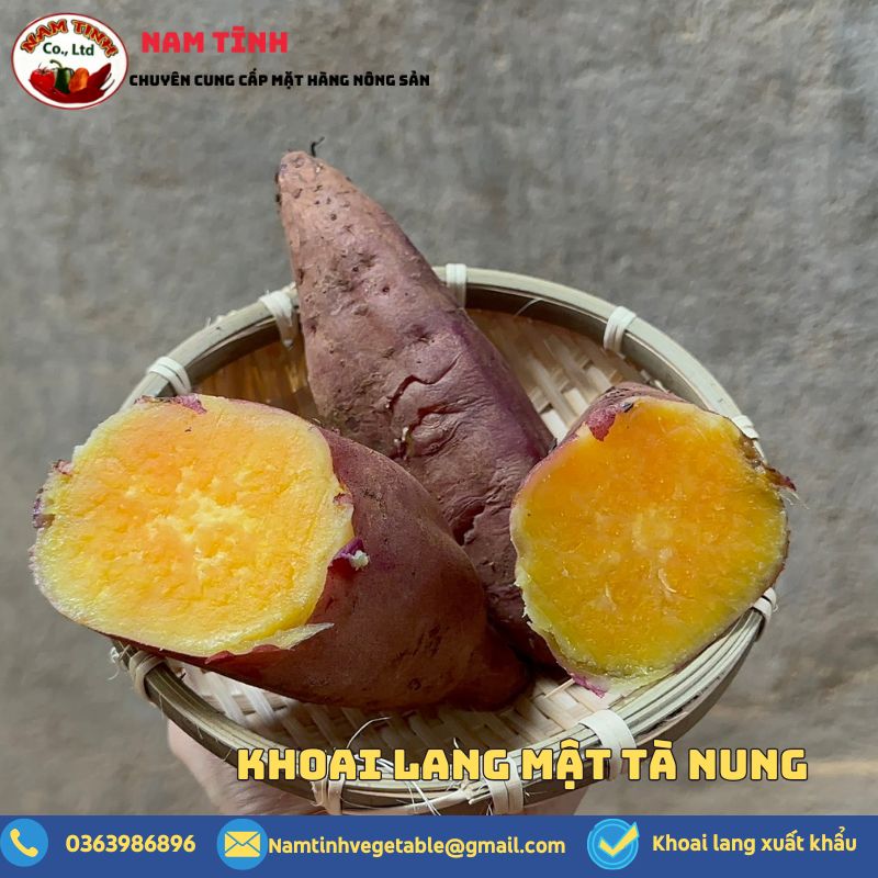 khoai mật tà nung Đà Lạt