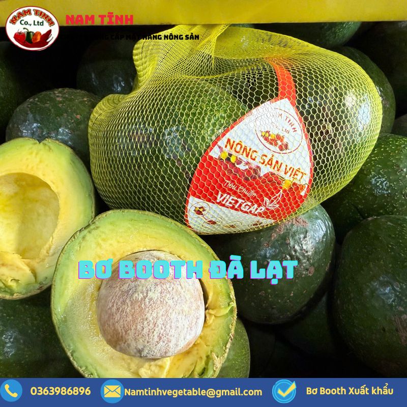 Bơ Booth Đà Lạt