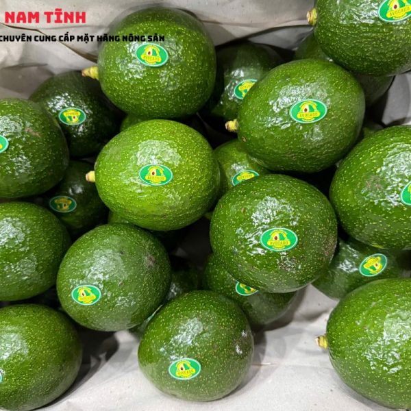 Bơ Booth Đà Lạt Size 2-3-4 là gì