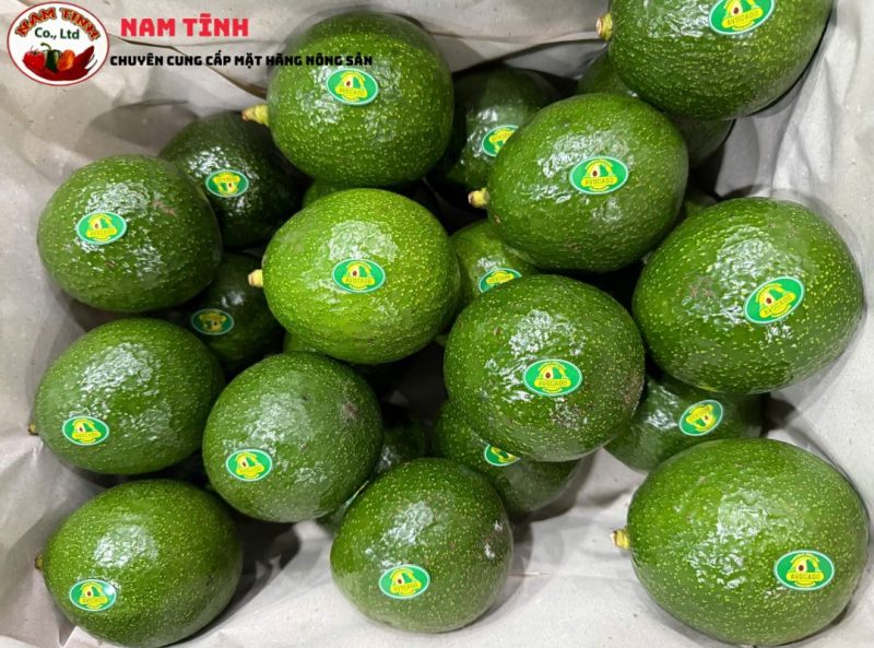 Bơ Booth Đà Lạt Size 2-3-4 là gì