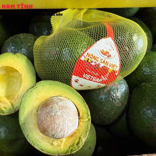 Kinh Nghiệm mua bơ booth Đà Lạt