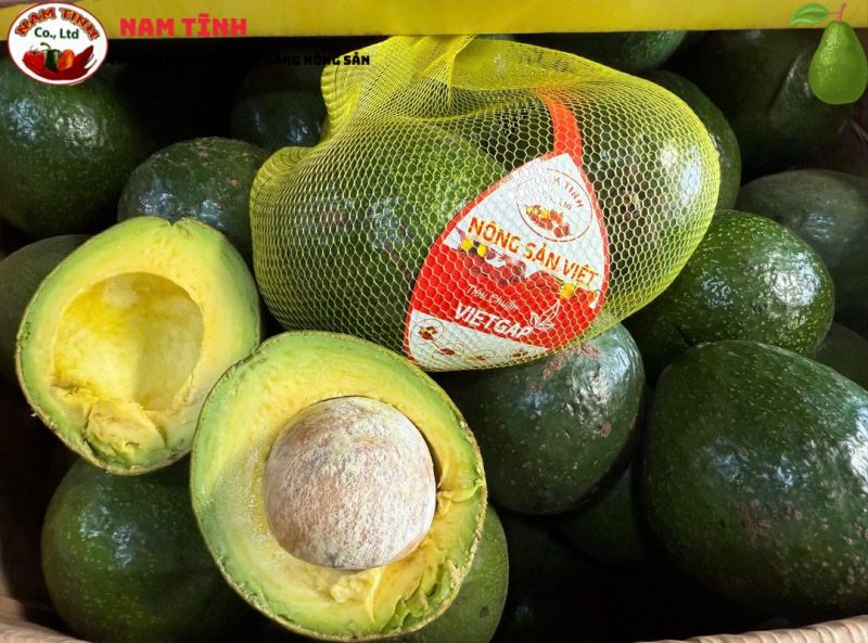 Kinh Nghiệm mua bơ booth Đà Lạt