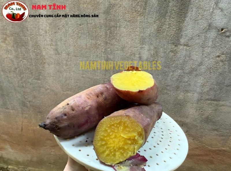 Giới thiệu Khoai Lang nhật Đà Lạt