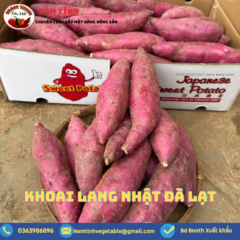 Khoai Nhật Đà Lạt