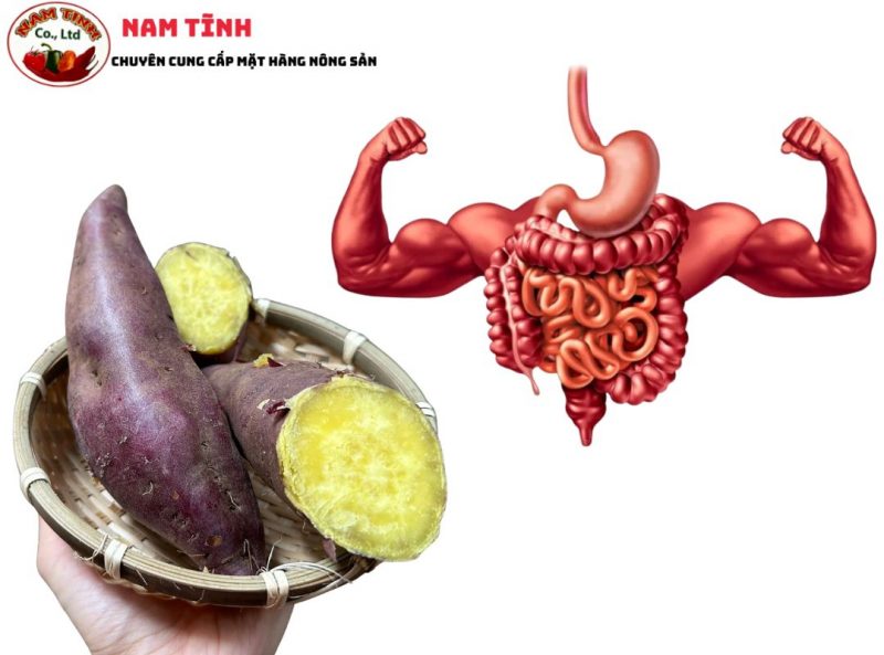 Lợi ích khi sử dụng khoai lang