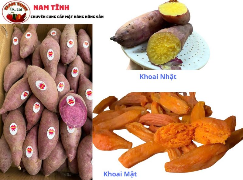 Cách phân biệt khoai lang Nhật