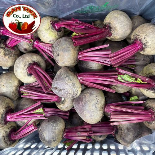 Dền Lâm Đồng chuẩn xuất khẩu tại Nam Tĩnh