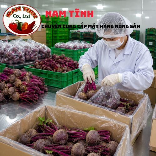 Đóng dền xuất khẩu chuẩn ISO